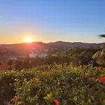 De Lujo Nerja